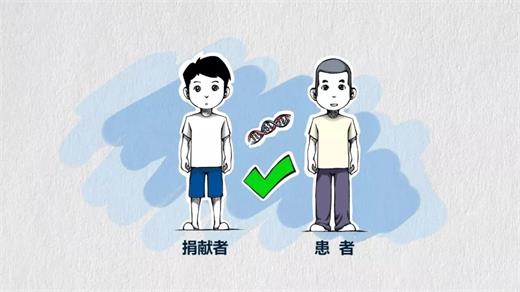 7.webp